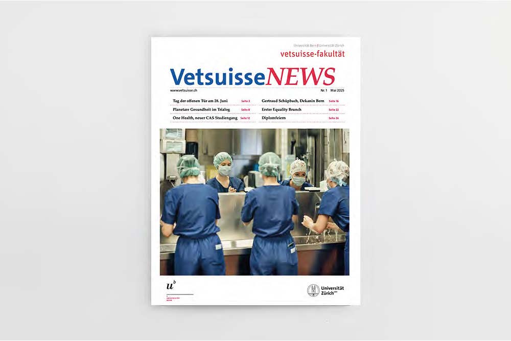 Vetsuisse News