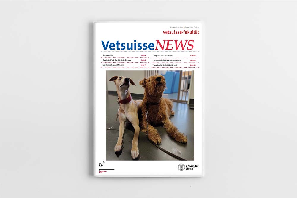 Vetsuisse News